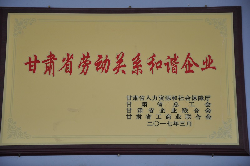 甘肃省劳动关系和谐企业.JPG